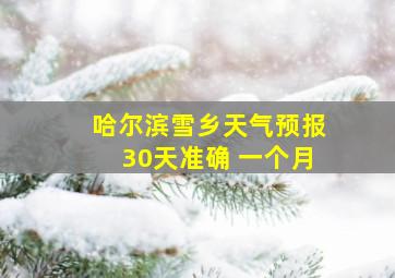 哈尔滨雪乡天气预报30天准确 一个月